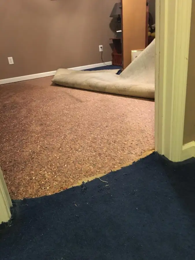 Carpet pad removal revealing water damage during Water Mitigation Services in Silvis