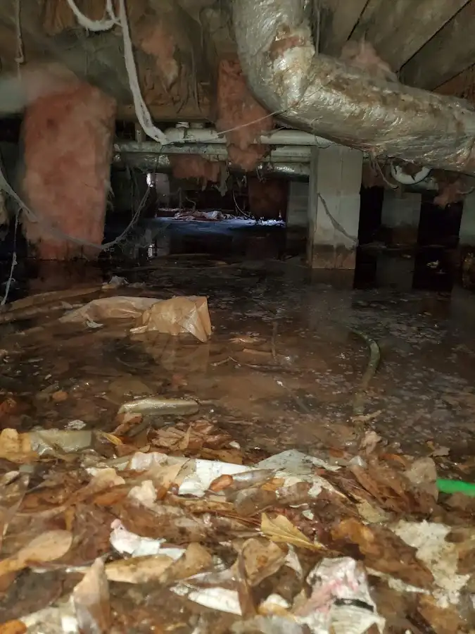 Crawl space flood assessment for Commercial Water Damage Restoration in Silvis