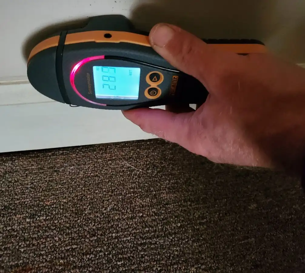 Moisture detection at baseboard during Sewage Cleanup & Sanitation in Silvis
