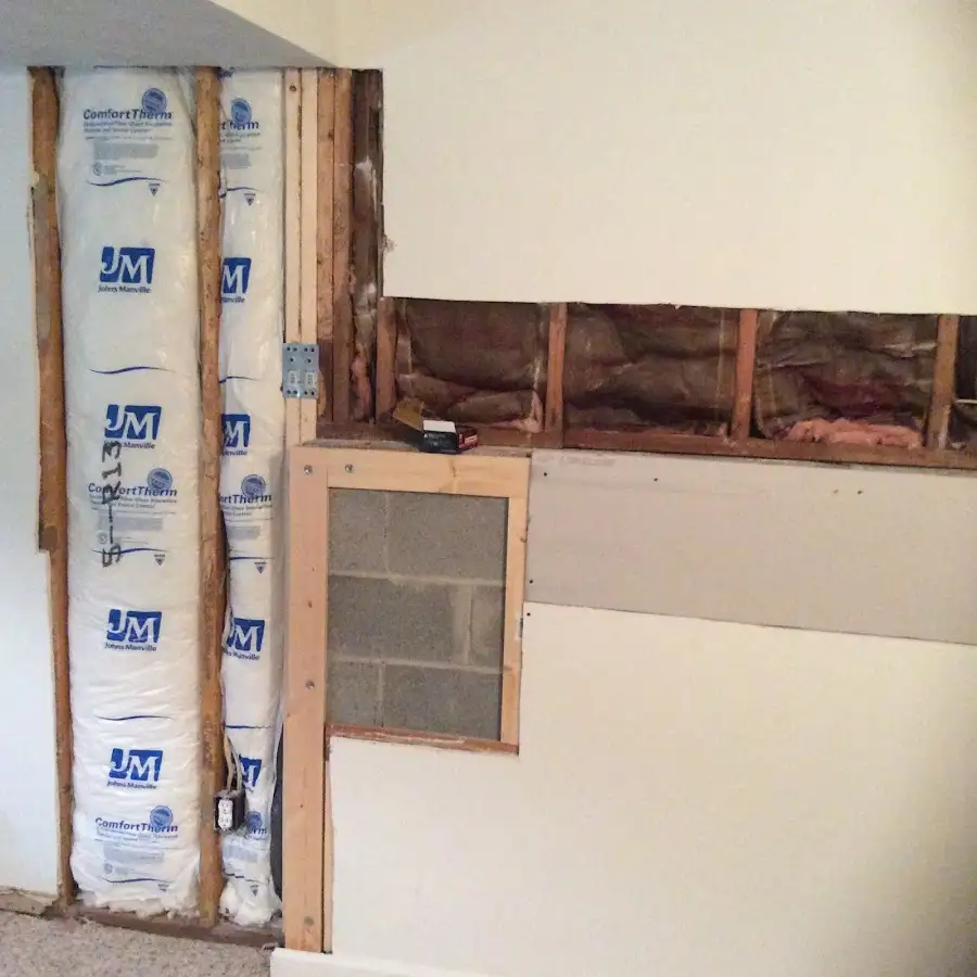 Wall insulation replacement during Odor Removal & Deodorization in Silvis